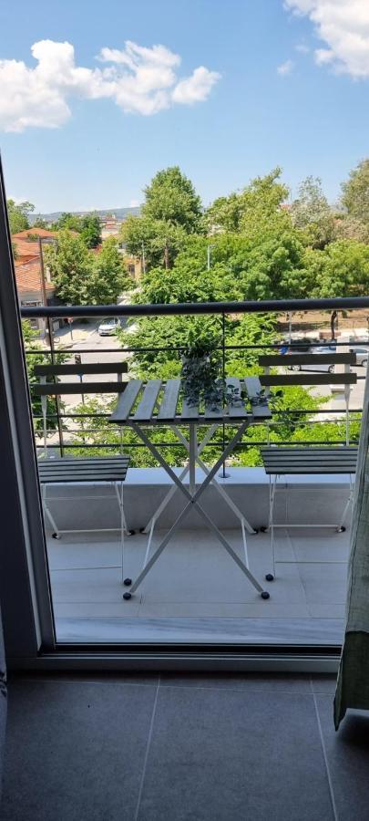 Appartement Palaia Premium Flat à Vólos Extérieur photo